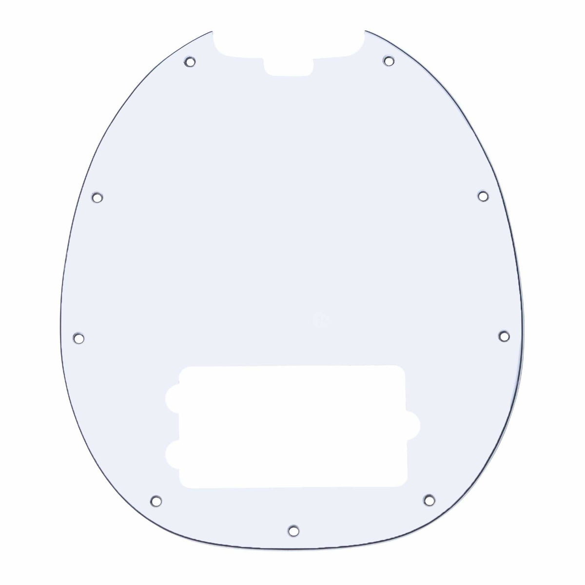 Pickguard for RAY24CA