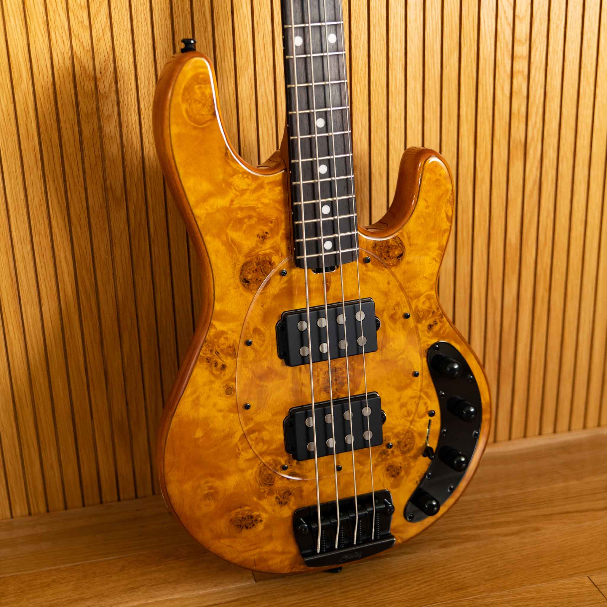 StingRay RAY34 HH Poplar Top | Basses | Sterling by Music Man