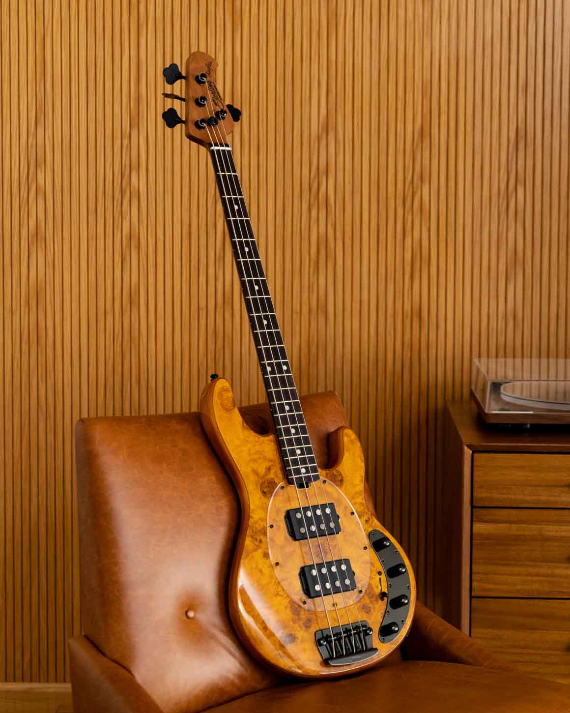 StingRay RAY34 HH Poplar Top | Basses | Sterling by Music Man