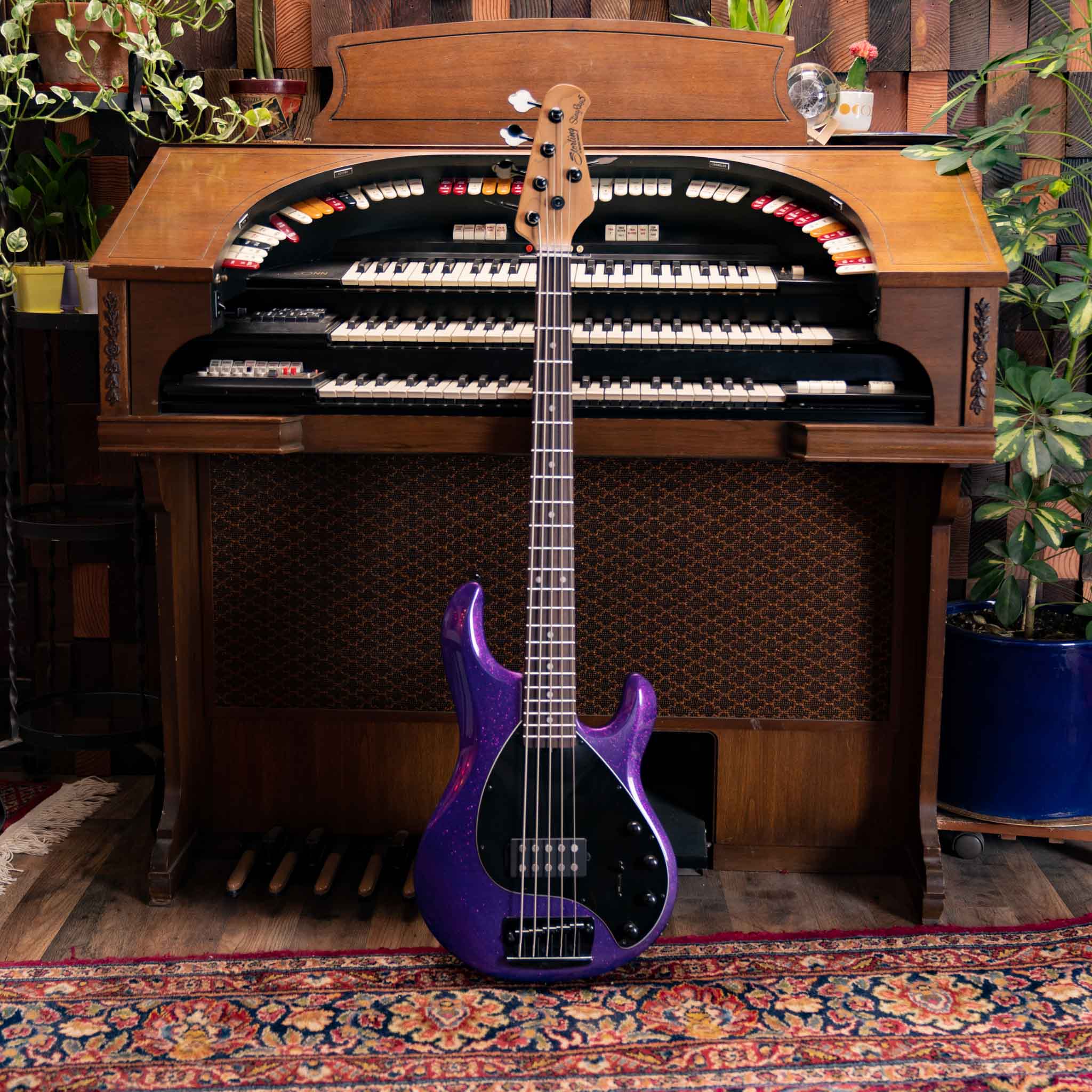 5-String | Sterling by Music Man