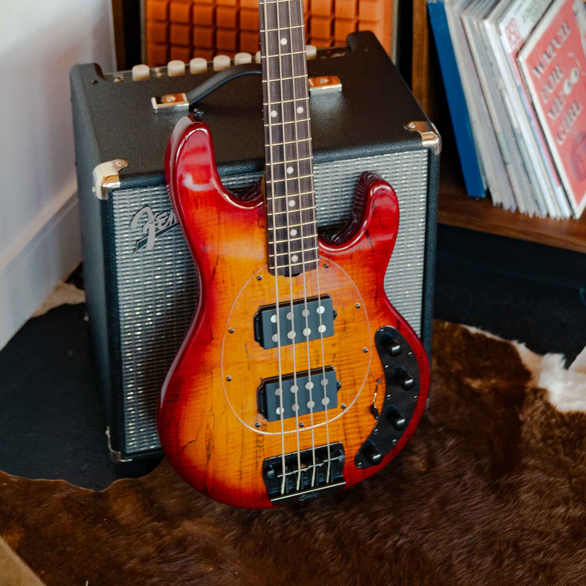 StingRay HH Maple Top