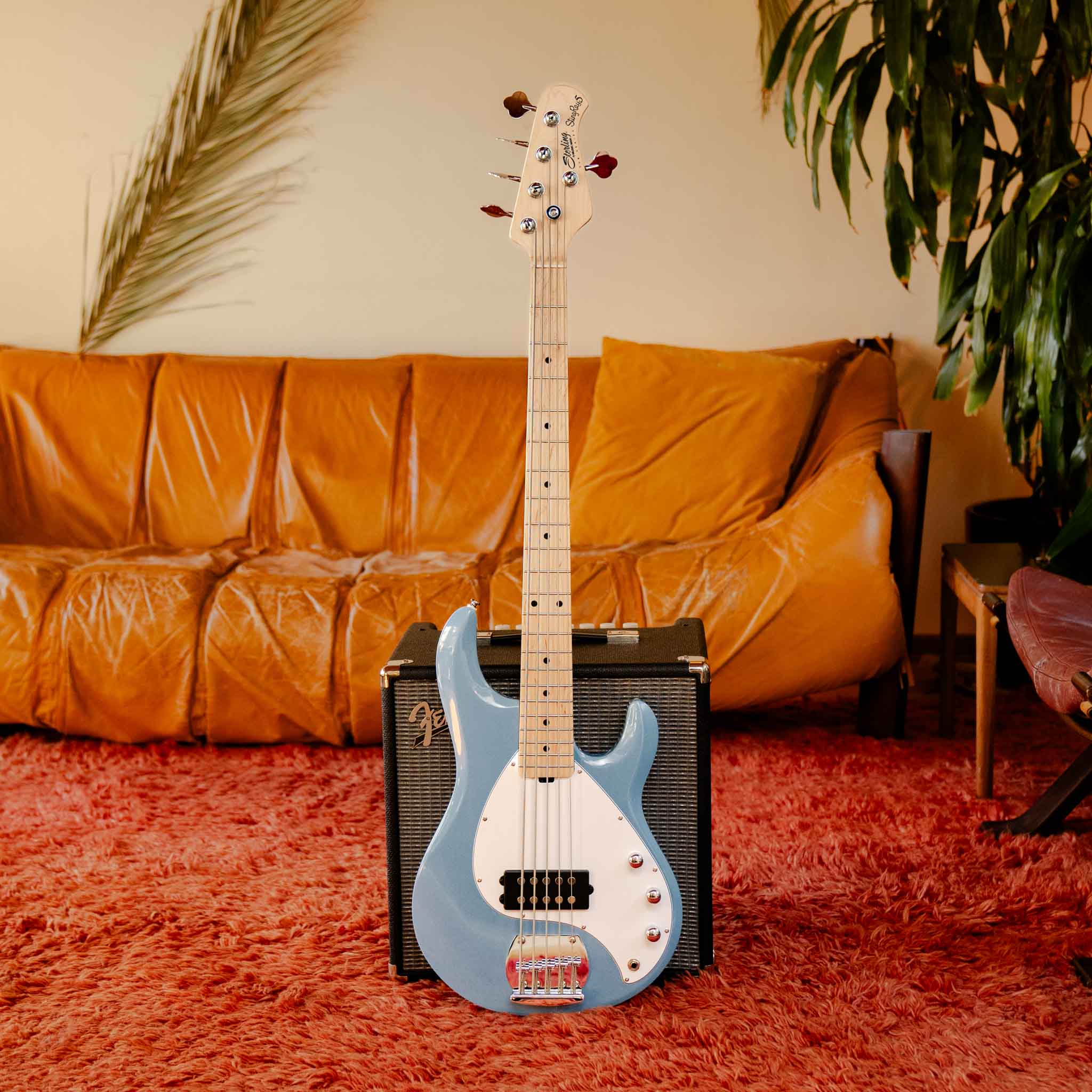 StingRay 5 RAY5 | Basses | SUB – Sterling by Music Man
