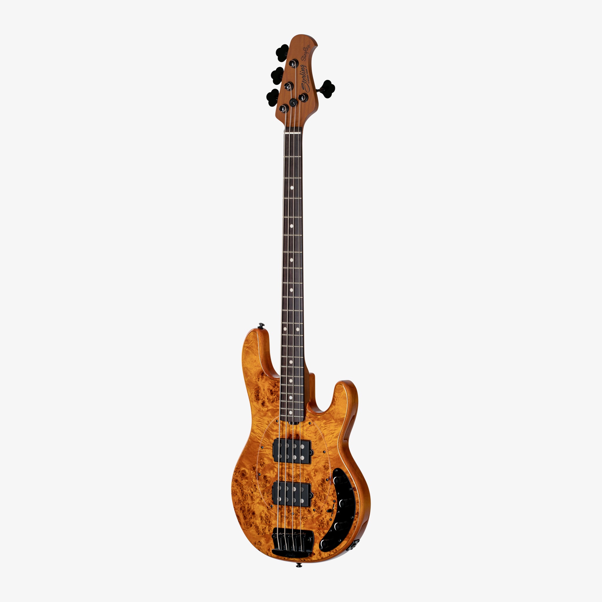 StingRay RAY34 HH Poplar Top | Basses | Sterling by Music Man