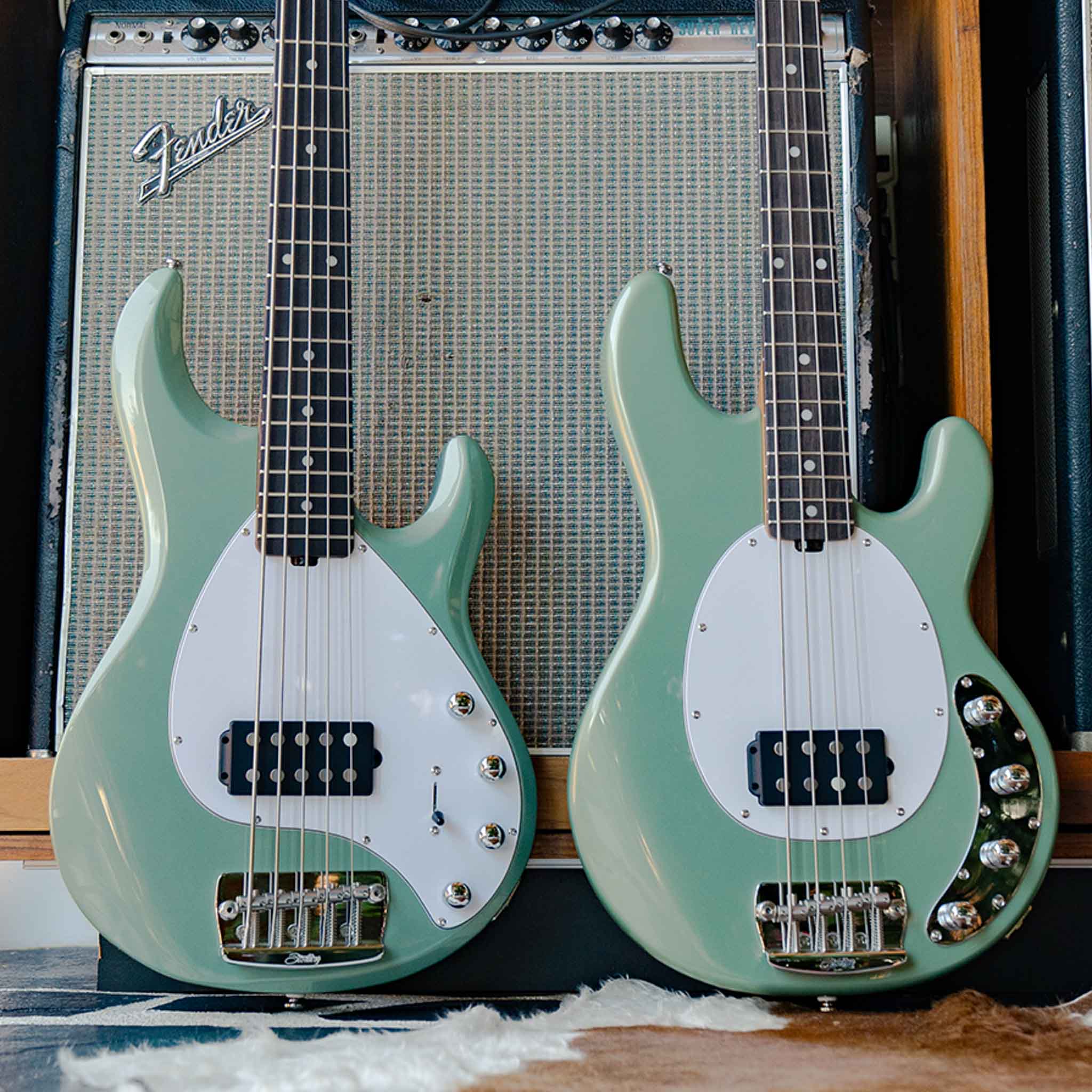 StingRay 5 – Sterling by Music Man