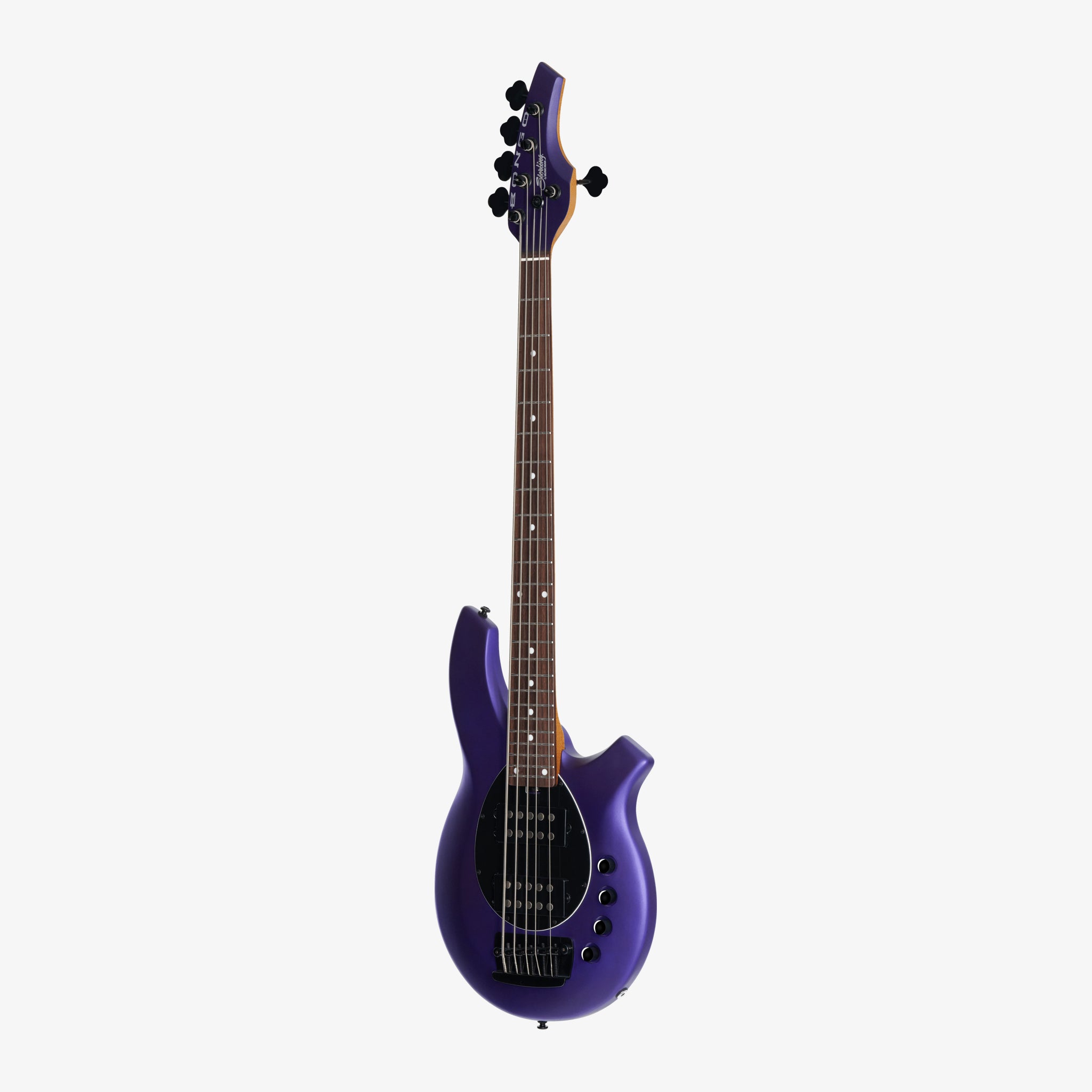 Bongo 5 – Sterling by Music Man