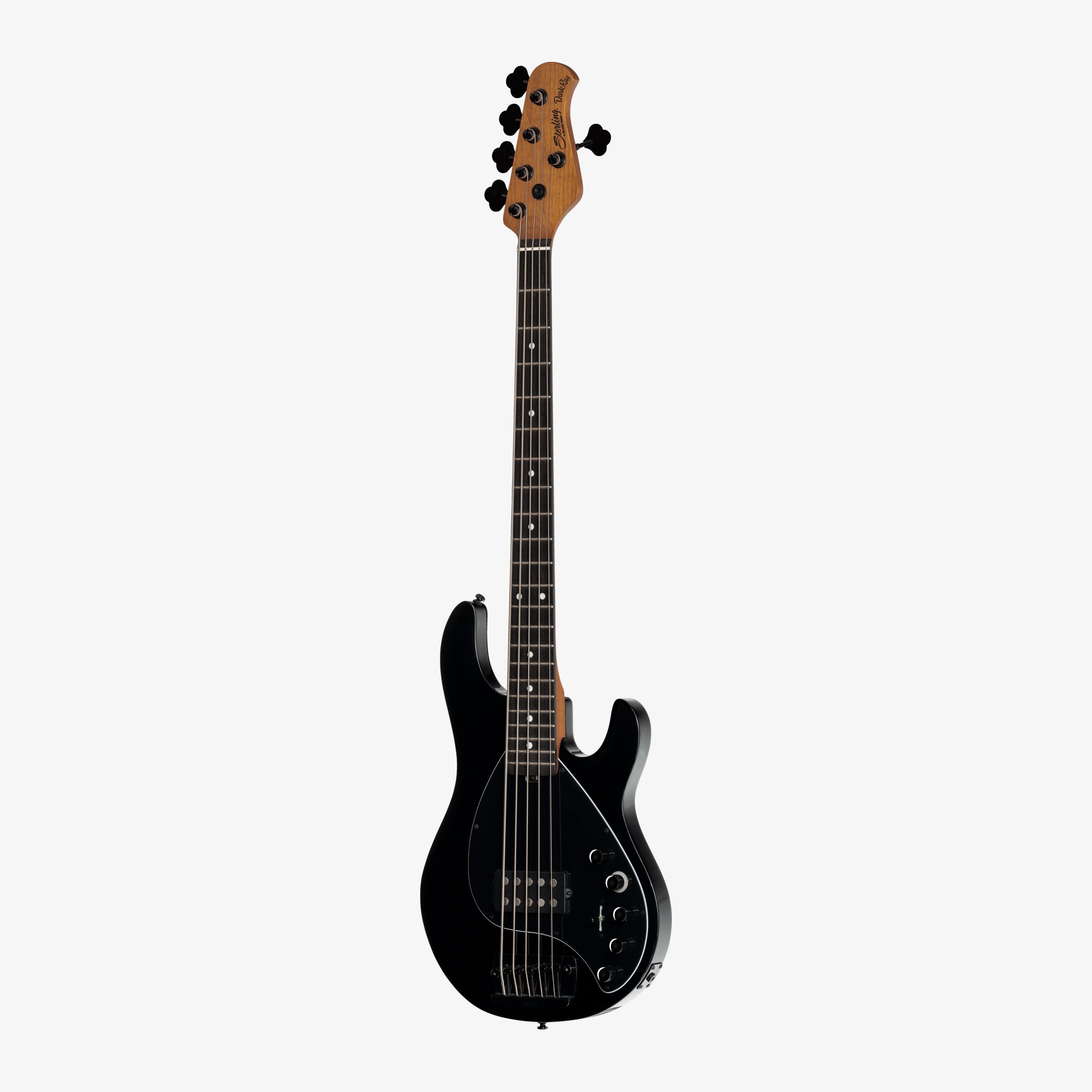 2025 New Models | Sterling by Music Man