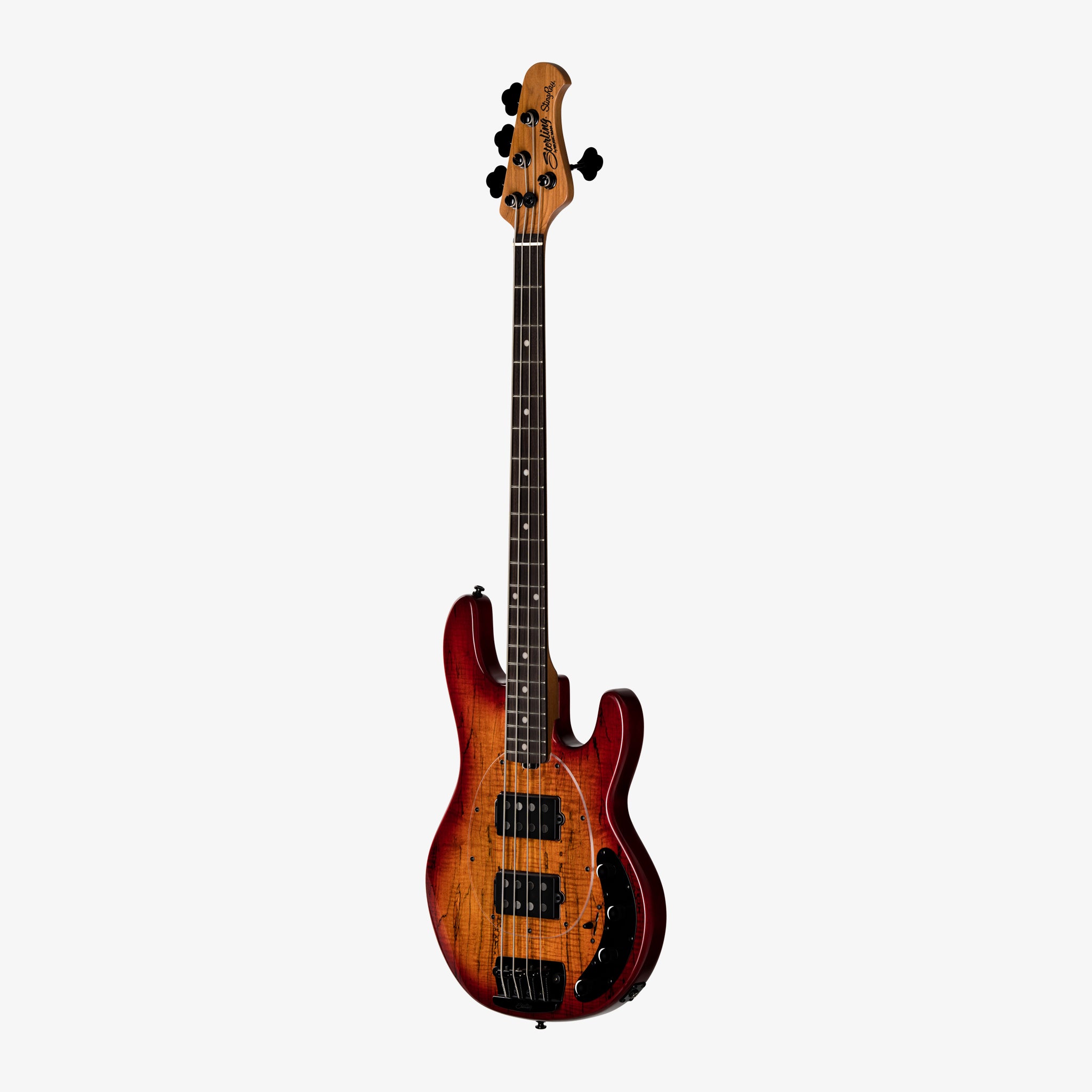 StingRay RAY34 HH Maple Top | Basses | Sterling by Music Man