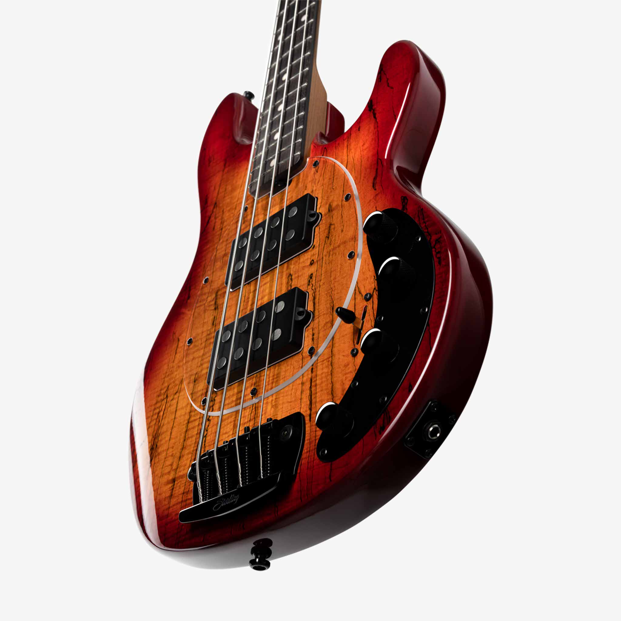 StingRay HH Maple Top