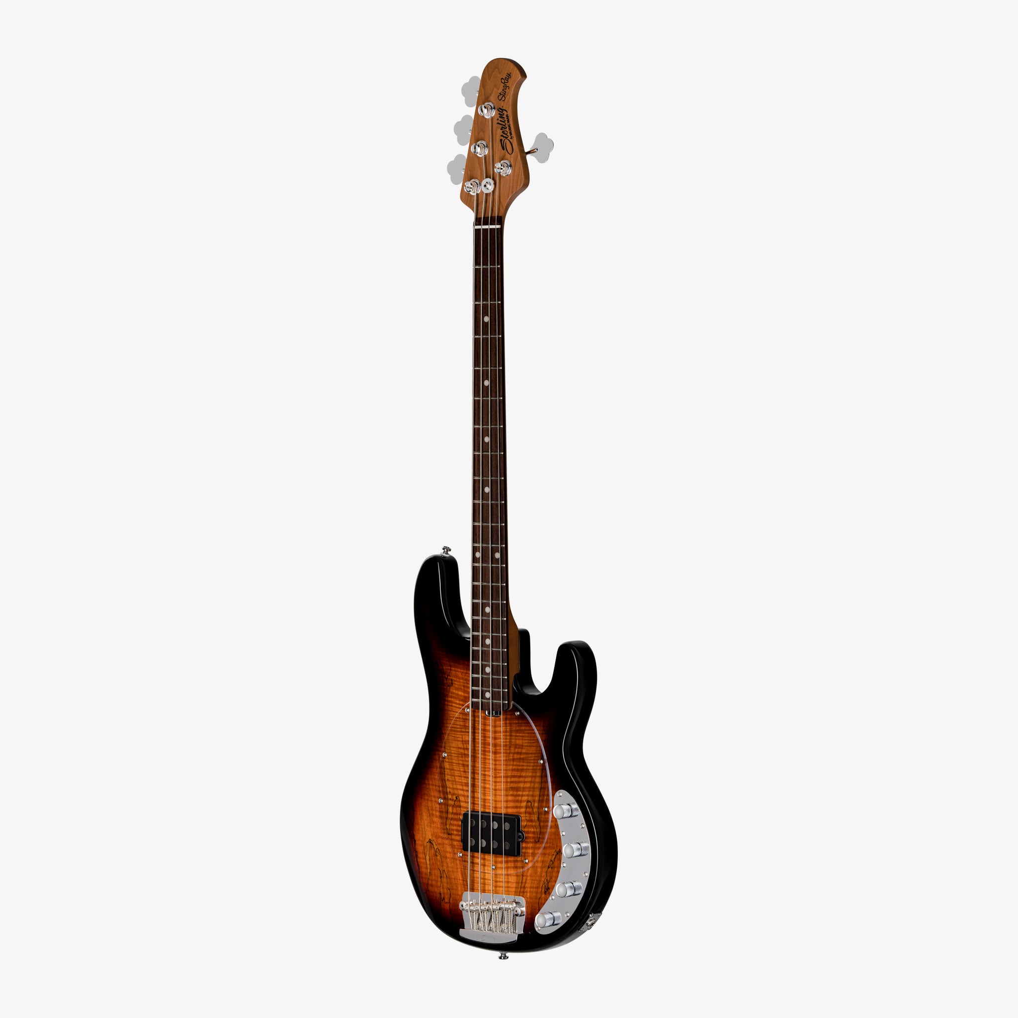 StingRay RAY34 Maple Top | Basses | Sterling by Music Man