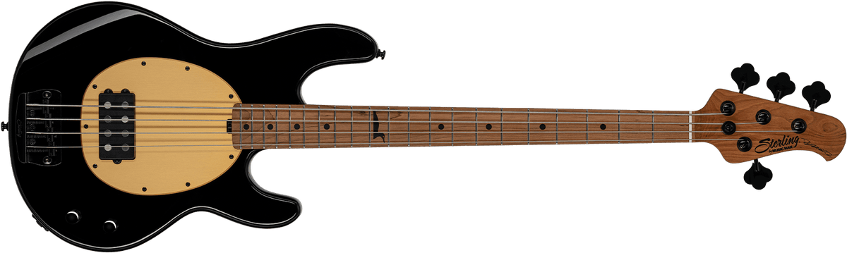 Front details of the Pete Wentz StingRay bass in Black