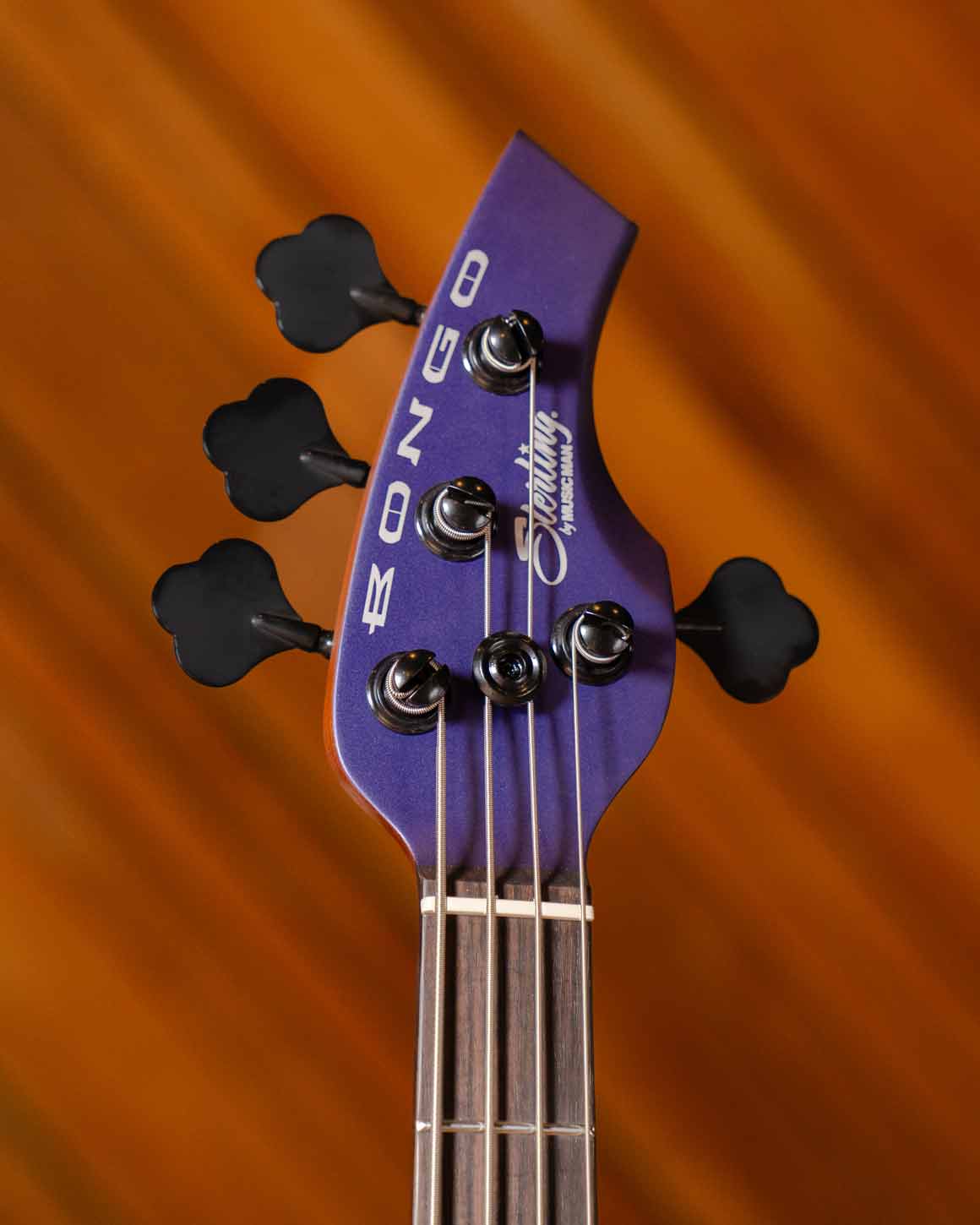 Bongo | Basses | Sterling by Music Man