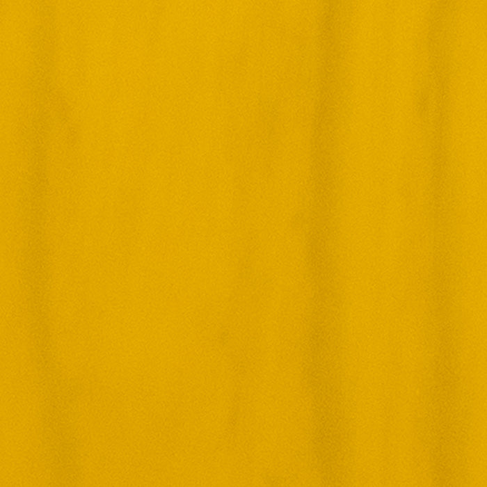 Valentine Chambered Bigsby