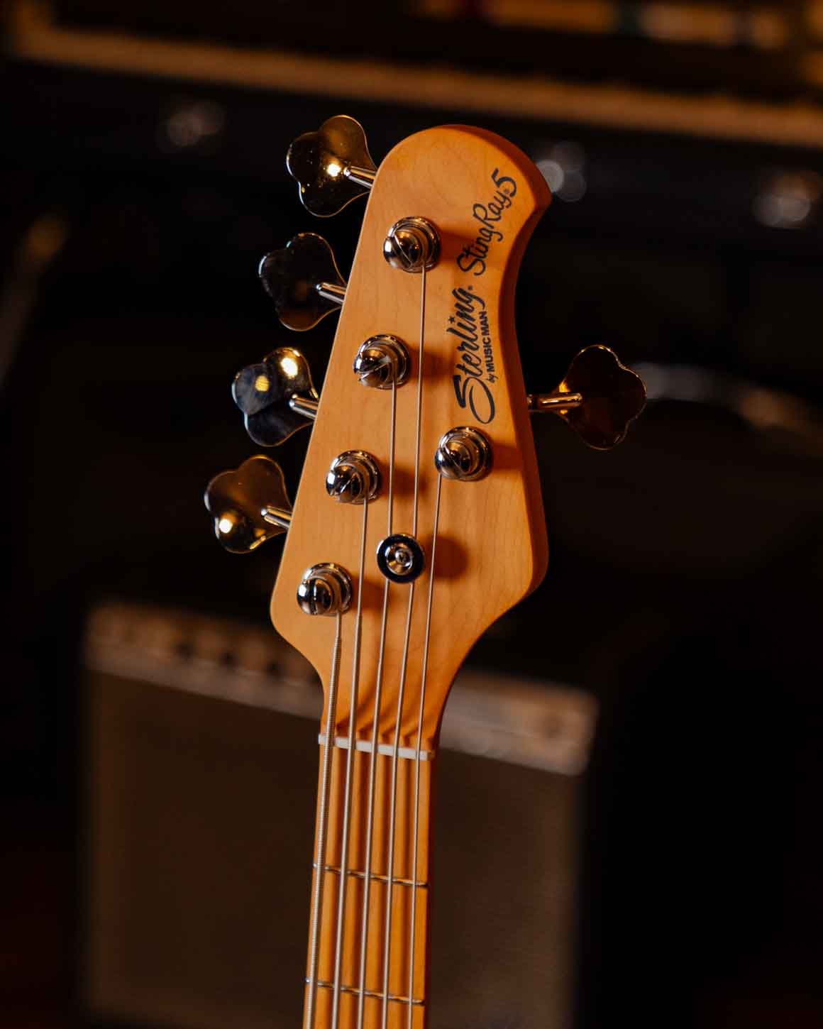 StingRay Classic 5 RAY25CA | Basses | Sterling by Music Man