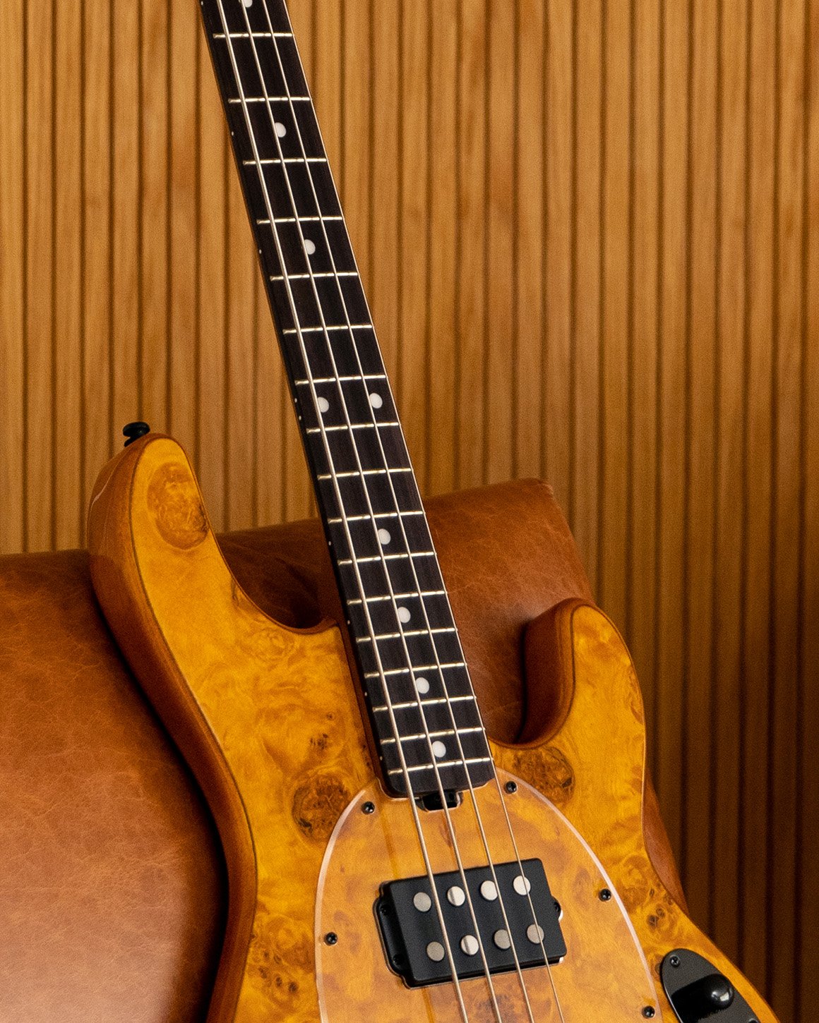 StingRay RAY34 HH Poplar Top | Basses | Sterling by Music Man