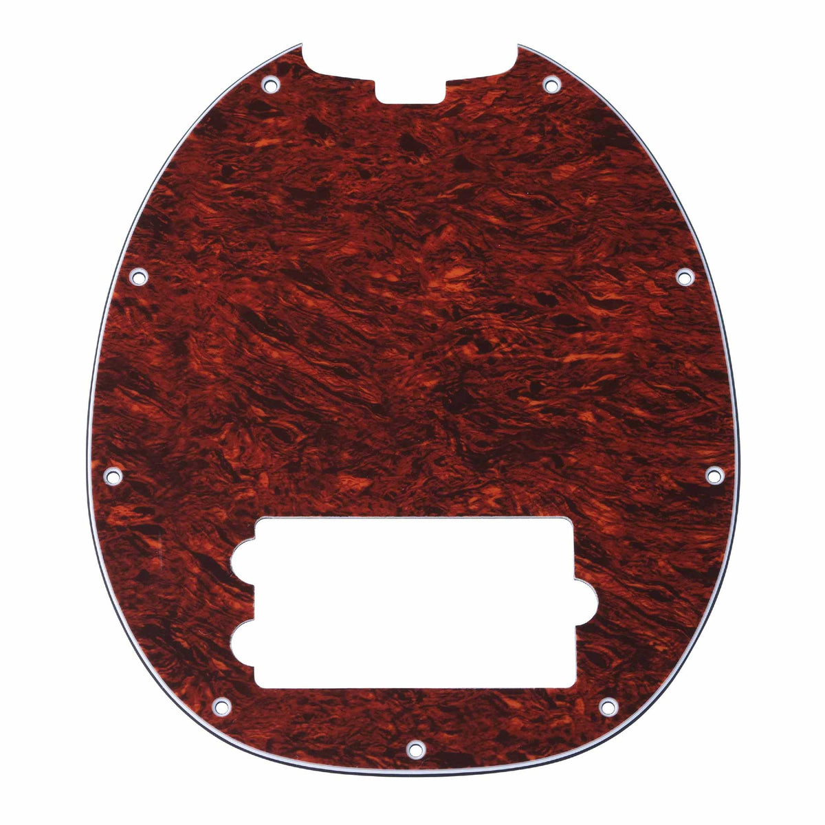 Pickguard for RAY24CA