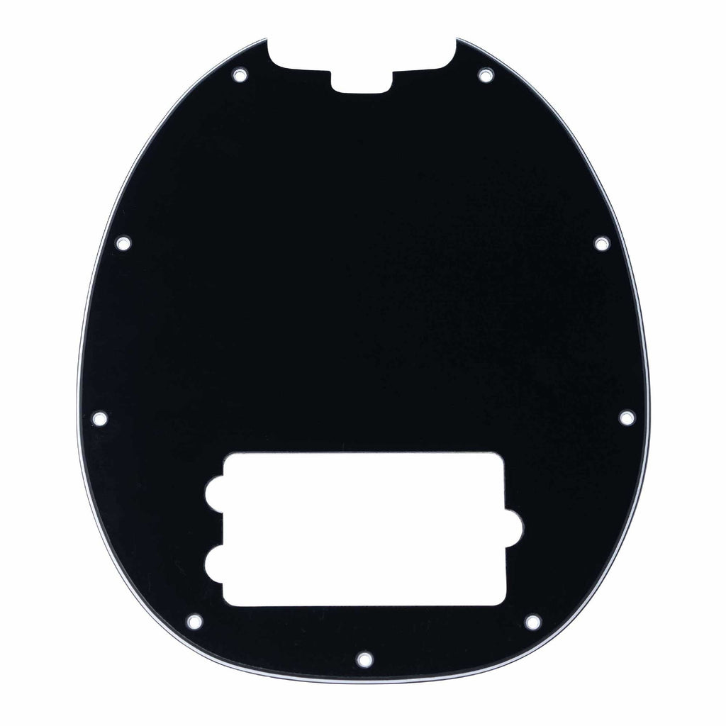 Pickguard for RAY24CA