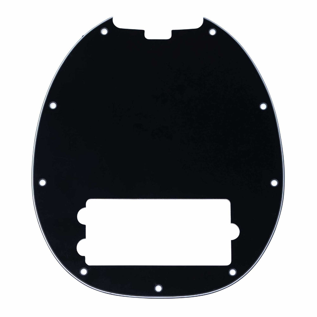 Pickguard for RAY25CA