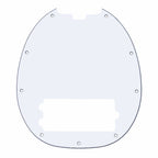 Pickguard for RAY25CA