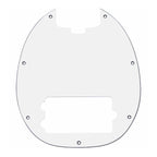 Pickguard for RAYSS4