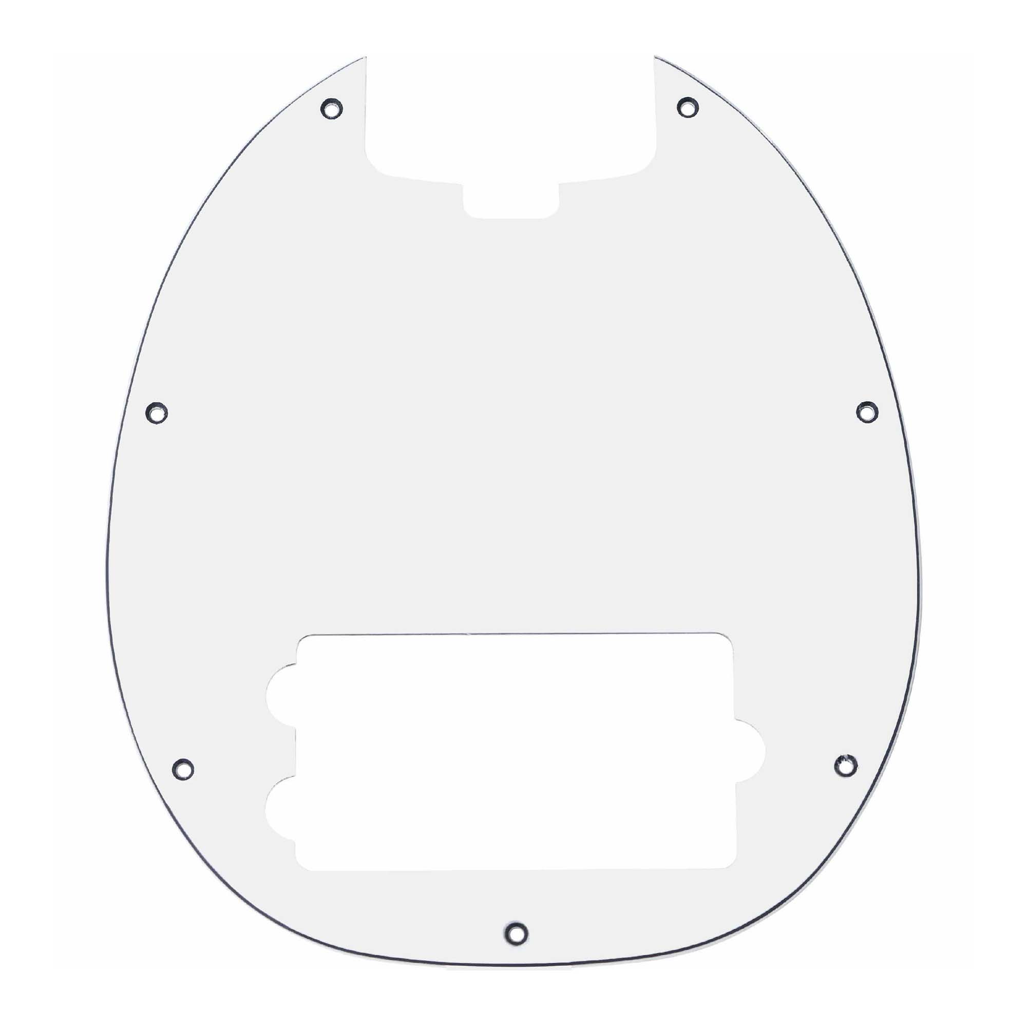 Pickguard for RAYSS4