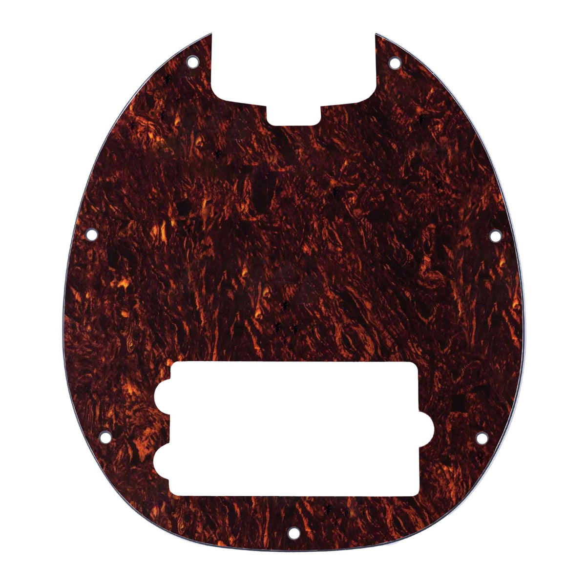 Pickguard for RAYSS4