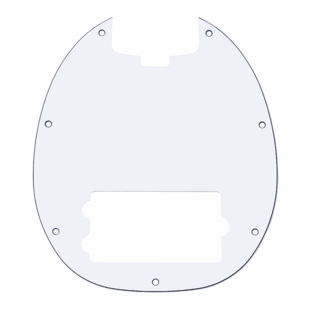 Pickguard for RAYSS4