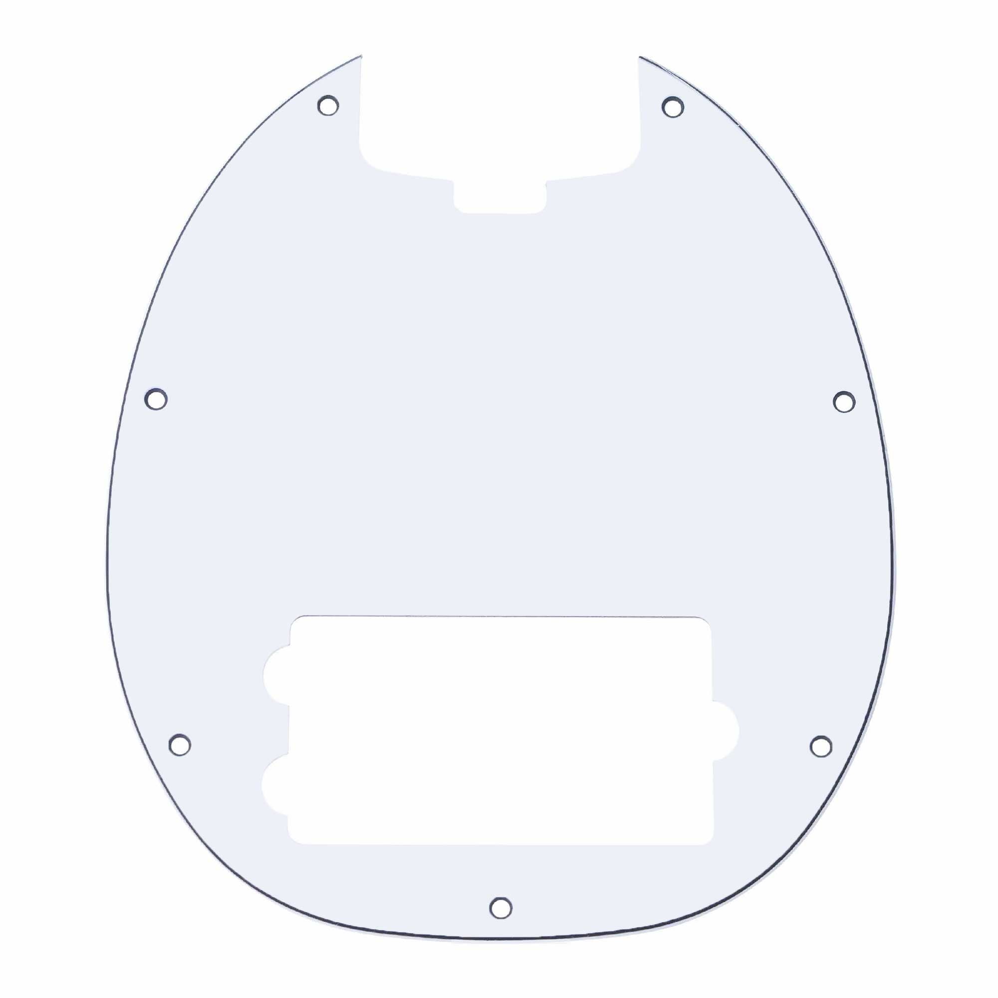 Pickguard for RAYSS4
