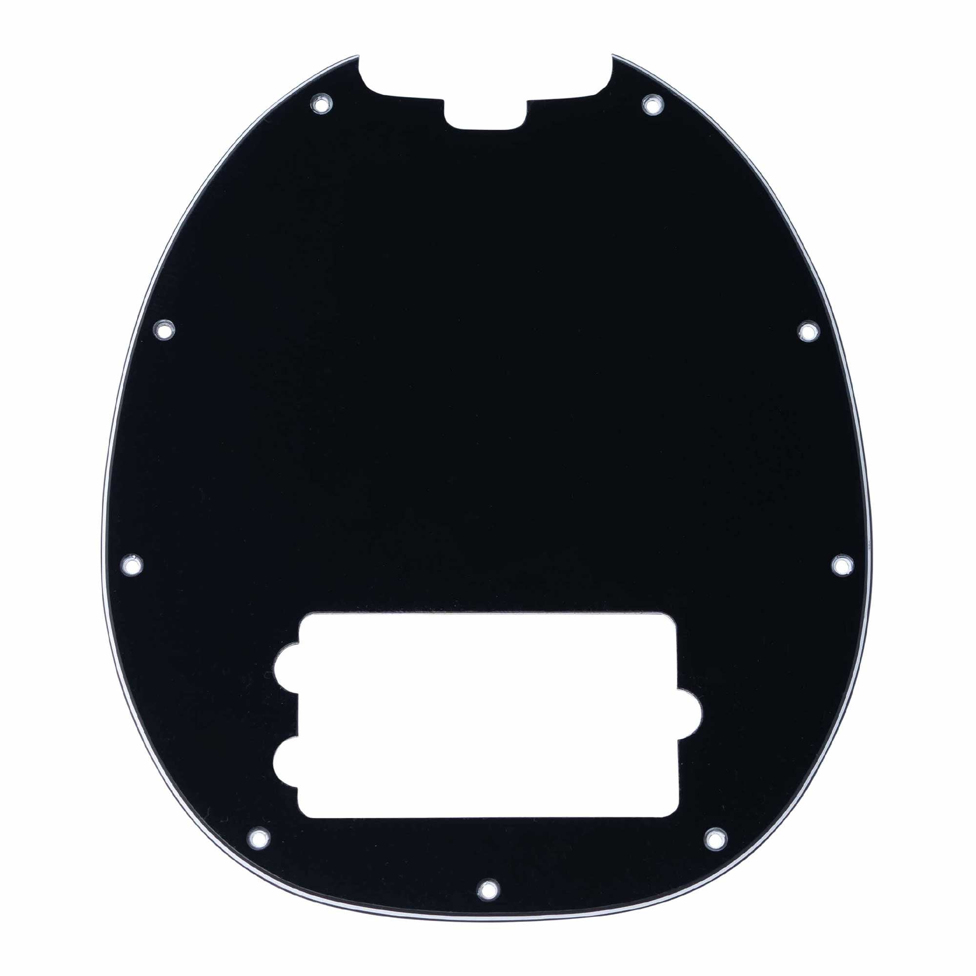 Pickguard for RAY4