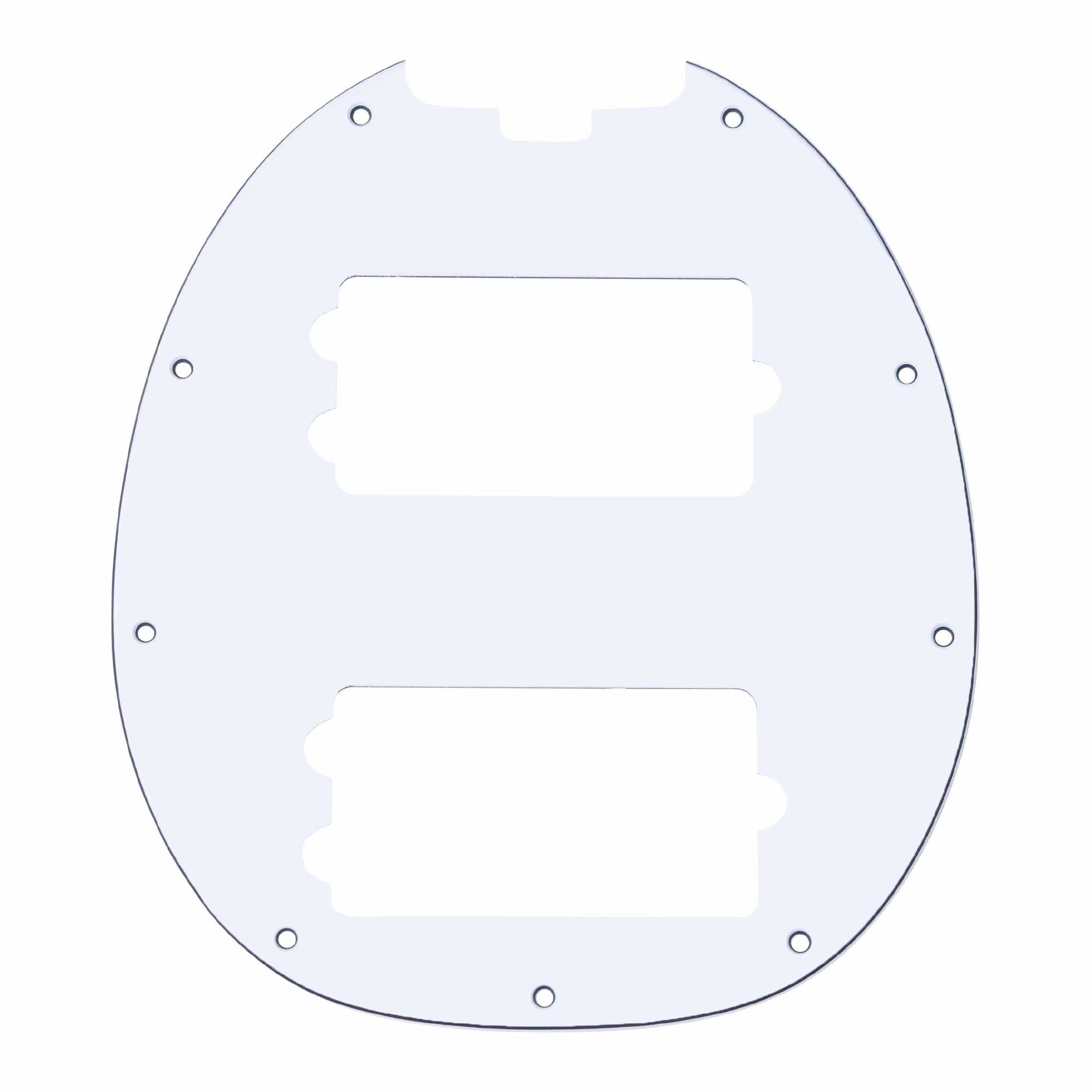 Pickguard for RAY4HH