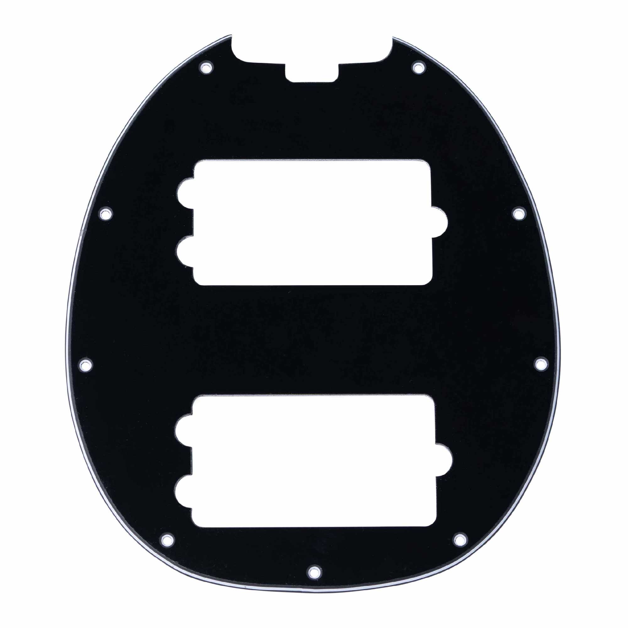 Pickguard for RAY4HH