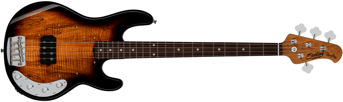 StingRay RAY34 Maple Top | Basses | Sterling by Music Man