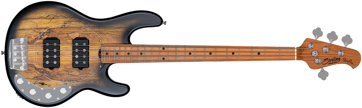 Bass Direct - Here is another of the new Musicman Ray 34HH