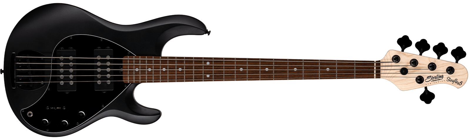 5 String Sterling by Music Man